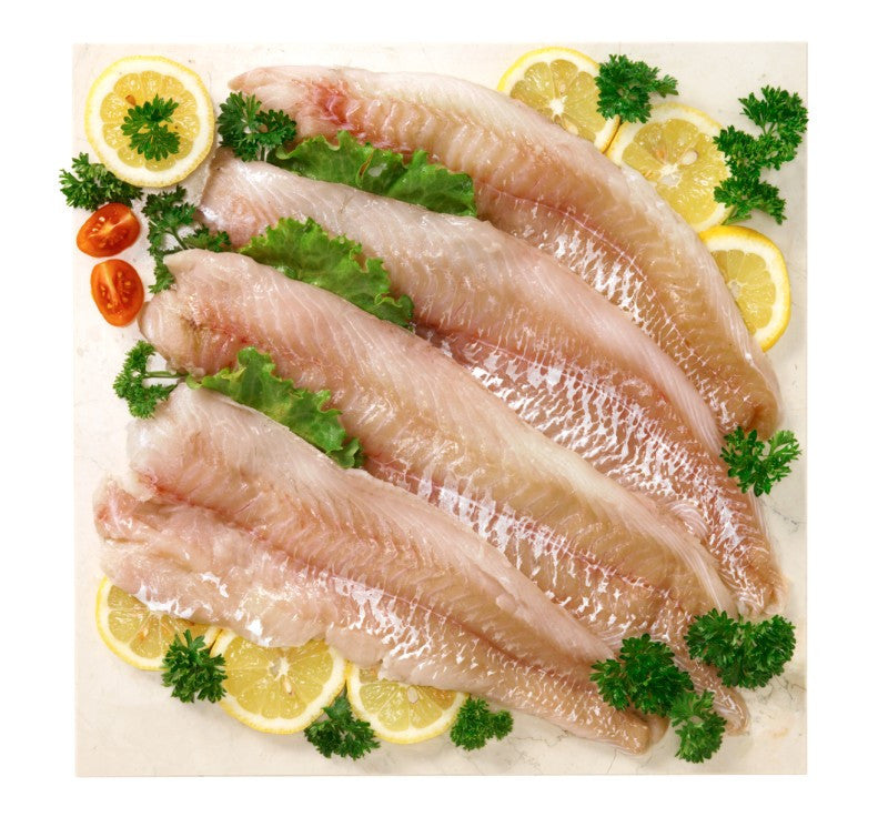 Fresh Coley Fillets - JustCaught.co.uk