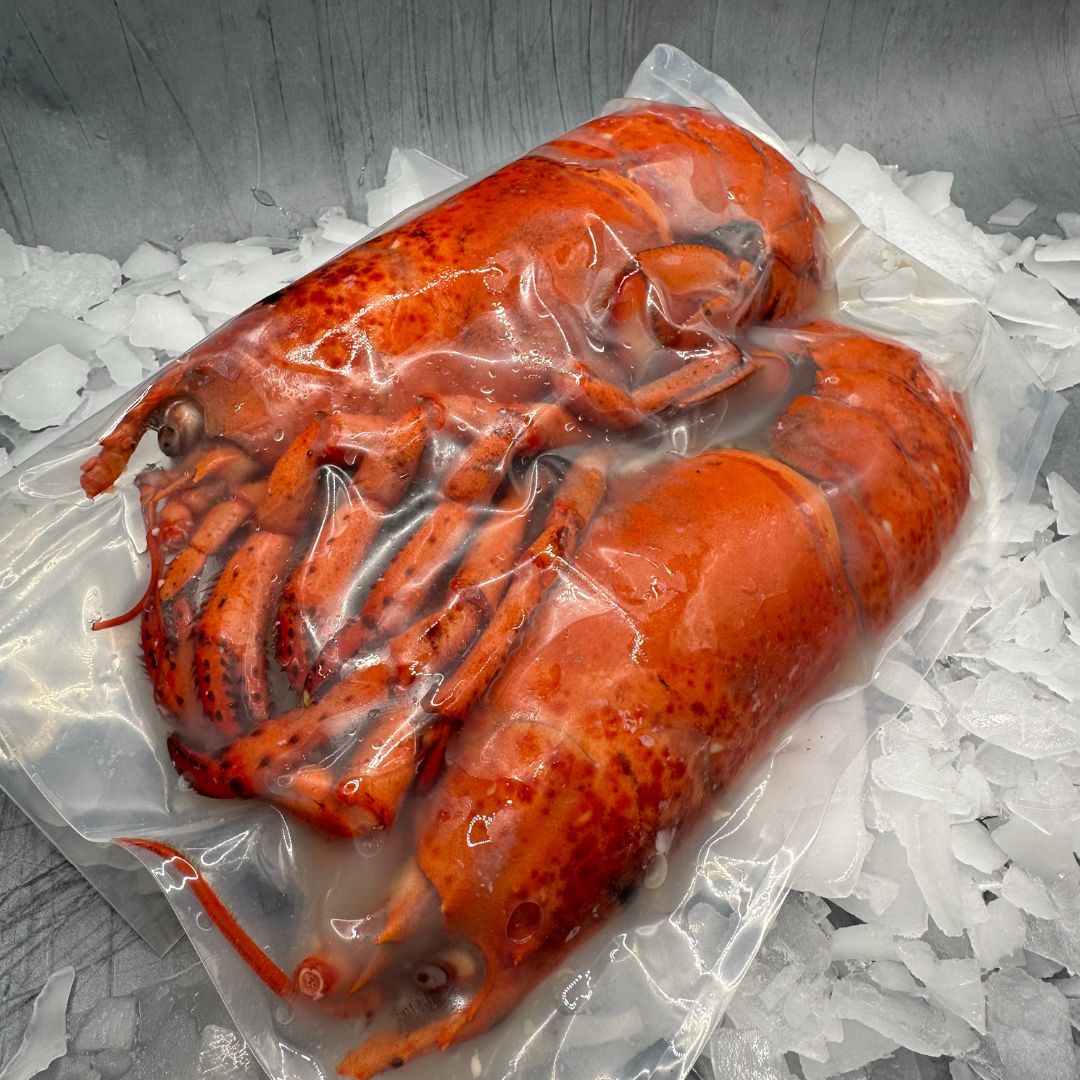 Lobster Cooked