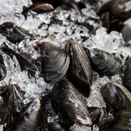 Fresh Mussels - £6.50 per kilo
