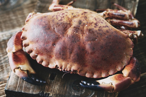 Crab: Edible Varieties of Crab and Nutritional Value