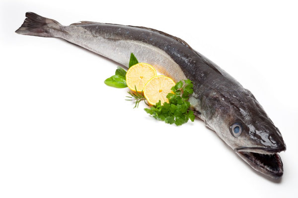 What is Hake?  Some facts and recipes