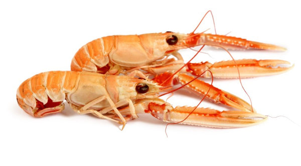 Langoustines: Some Cooking Suggestions and Health Benefits