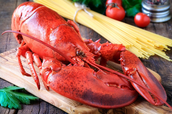 Ideal Meals for lovers on Valentine’s Day: Lobster