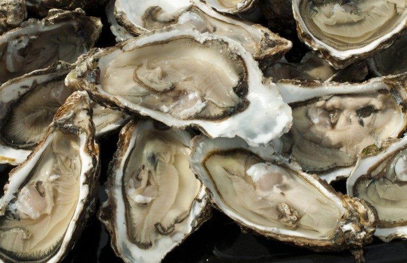 Things You Need To Know About Shellfish