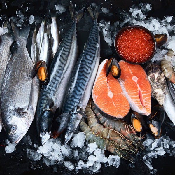 Fresh Fish