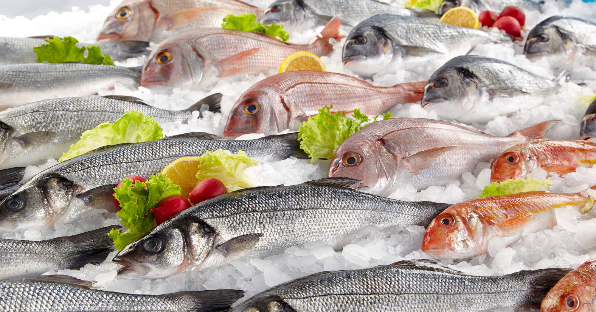 Buy Fresh Fish Online | Shellfish | Prawns | Frozen Fish | Delivered ...