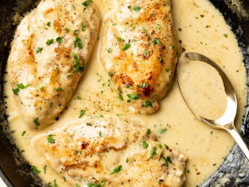 Mushroom White Wine & Garlic Sauce