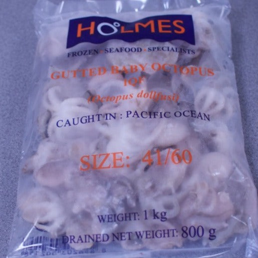Baby Octopus