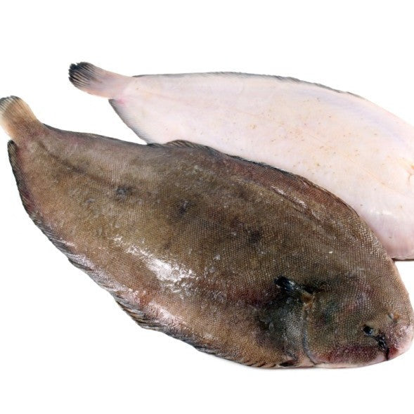 Dover Sole