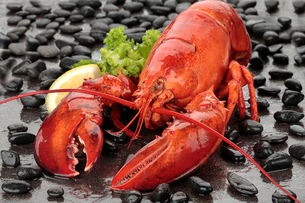 Frozen Cooked Lobster