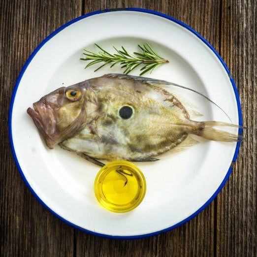 John Dory