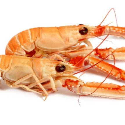 Langoustine