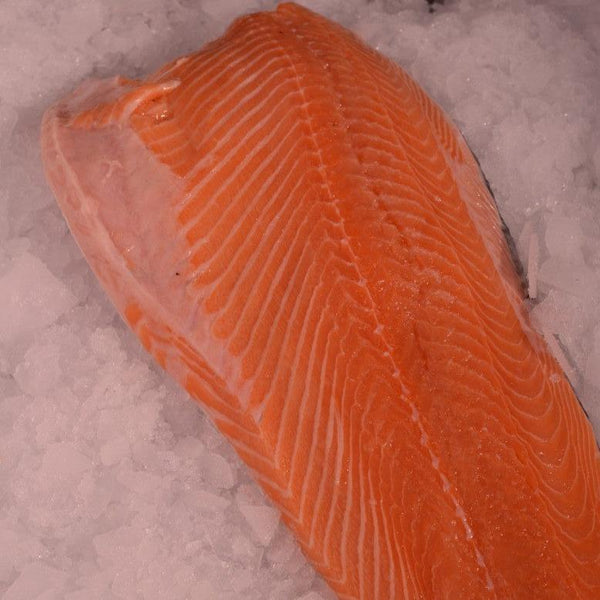 Salmon Fillets