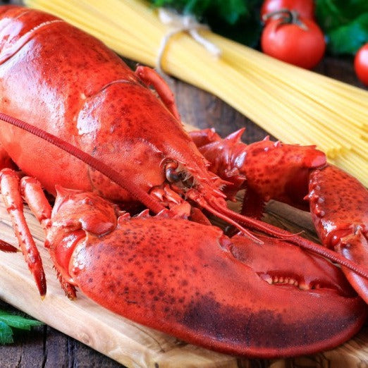 Lobster Cooked