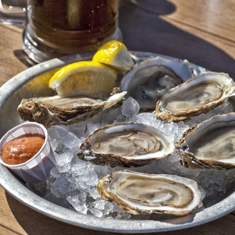 Oysters