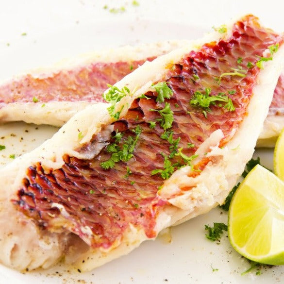 Red Mullet