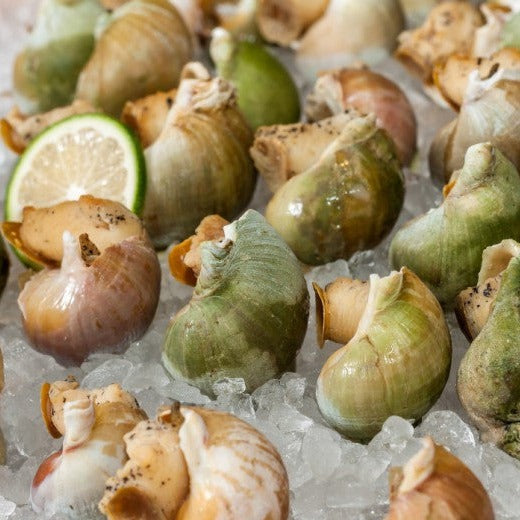 Whelks